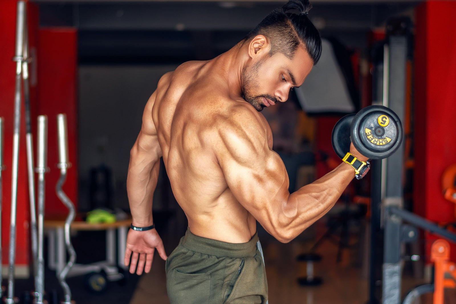 bicep curls in the gym